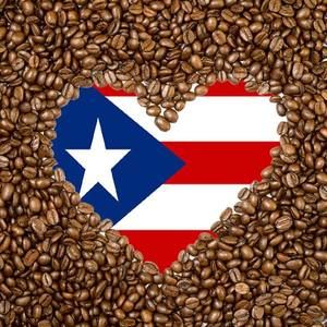 Meet your Posher, Shelly